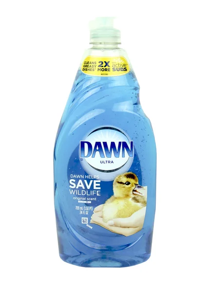 Bottle of Dawn Dish Soap — Stok fotoğraf