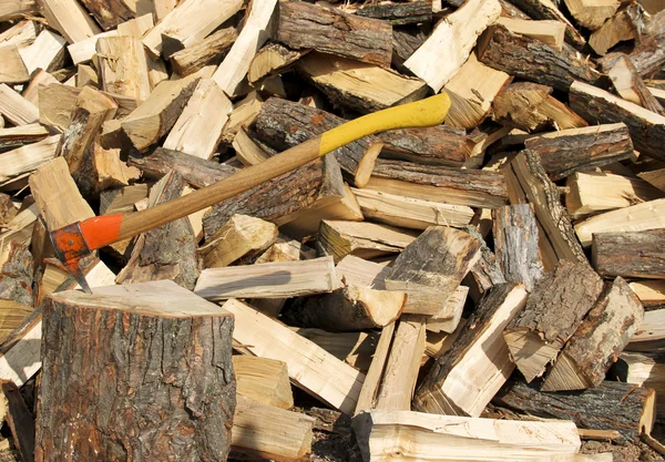 Pickaroon furando em um log — Fotografia de Stock