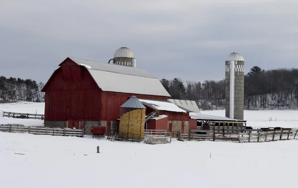 雪の降る冬の背景に赤の納屋で家族の農場 — ストック写真