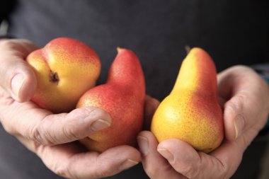 Yaşlı adamın üç armut tutar