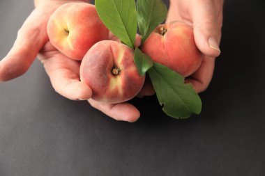 Eller bir adam ile taze şeftali