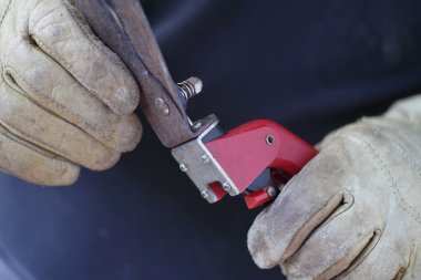 eldivenli ellerinde çim makası