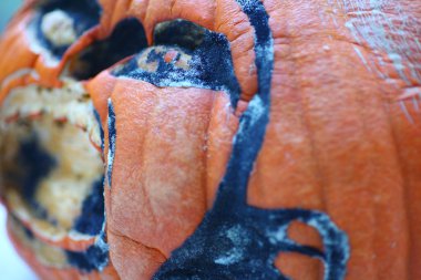 Cadılar Bayramı Balkabağı kalıplama