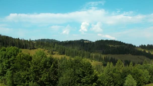 タイムラプス雲と美しい緑のフィールドの — ストック動画