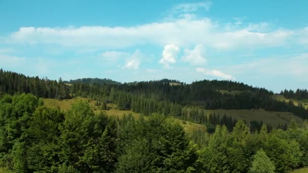 Timelapse mraků a krásné zelené louky — Stock video