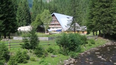 Cottage yakınındaki dağ nehir, Karpatlar