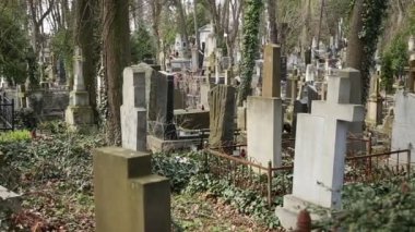 Lviv, Ukrayna Lychakiv mezarlıkta mezar