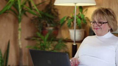 Kadın defter ile. Kadın kıdemli laptop yolu ile iletişim kurar.
