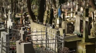 Lviv, Ukrayna Lychakiv mezarlıkta mezar