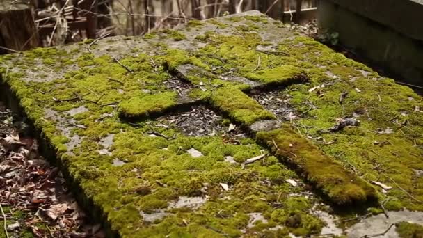 Tumbas antiguas en el cementerio de Lychakiv en Lviv — Vídeos de Stock