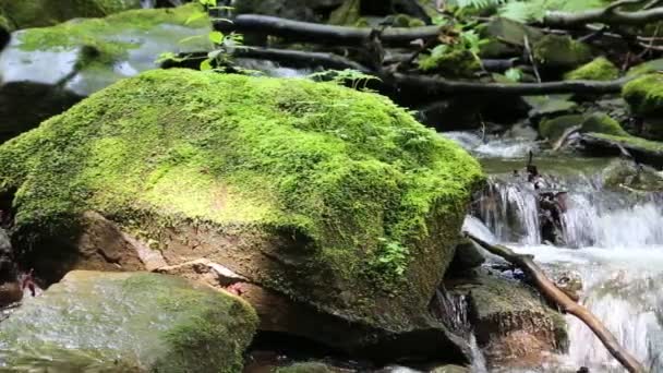 Schöner kleiner Bach und Steine — Stockvideo