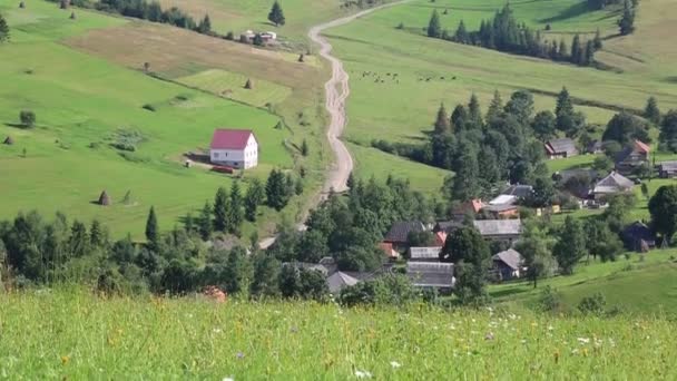 colline verte et chalet  