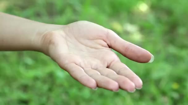 Mãe e filhas mãos no fundo verde. Três mãos juntas — Vídeo de Stock