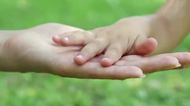 Mor och dotter händer — Stockvideo