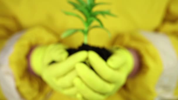 Menschenhände mit grüner Pflanze. — Stockvideo