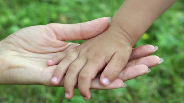 Руки матери и дочери — стоковое видео