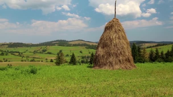 雲とフィールドで干し草の山 — ストック動画