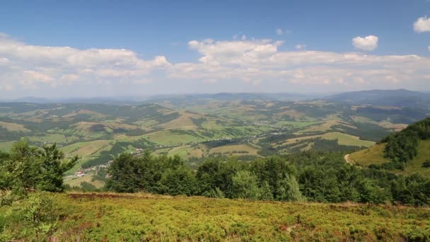 Hermosas colinas verdes — Vídeos de Stock