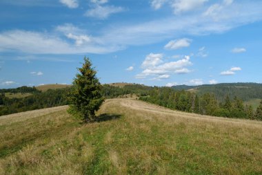Ukrayna 'daki güzel Karpatlar ve tepelerin manzarası
