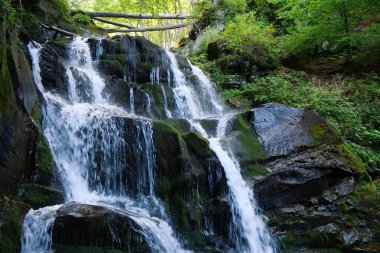 Ukrayna 'daki güzel Karpatlar' da Şelale Fısılda