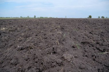 Kara toprak tarlası.