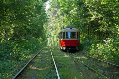Şehir tramvayı Ukrayna 'nın Kyiv şehrindeki Pushcha-Vodytsia kentsel bölgesine doğru gidiyor.