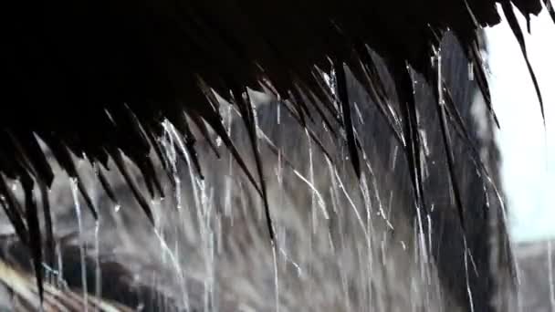 从屋顶落下的雨滴 — 图库视频影像