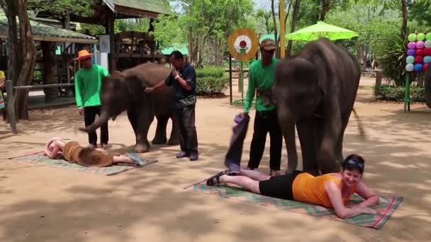 Menschen bei der Elefantenshow in Thailand — Stockvideo