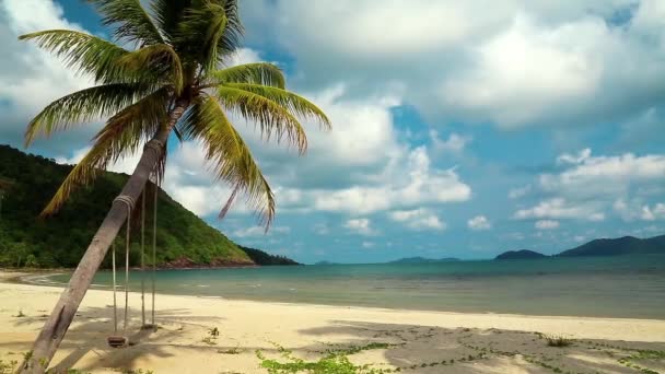 Prachtig uitzicht op de zee en palm tree — Stockvideo