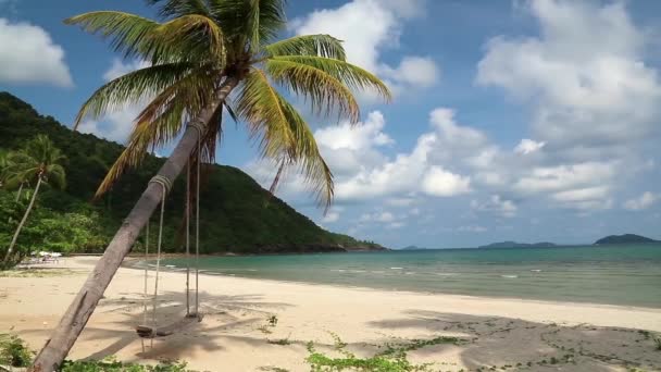 Mar, playa y palmera — Vídeos de Stock