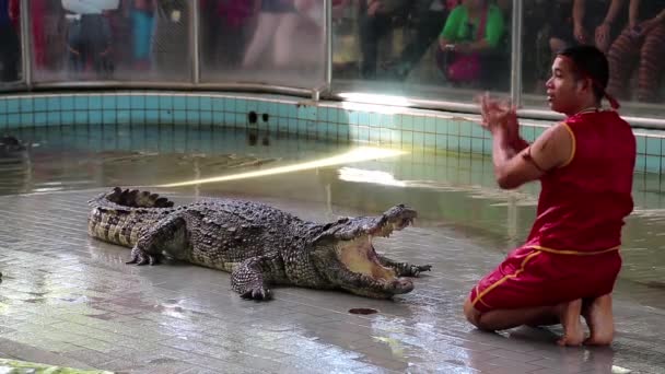 Show de cocodrilos en Pattaya , — Vídeos de Stock