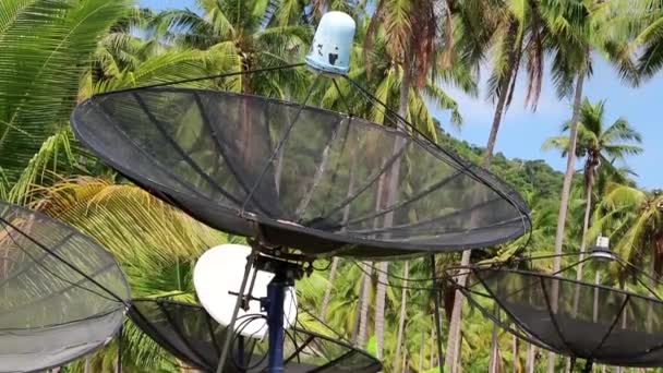 Satellietschotels onder palmbomen — Stockvideo