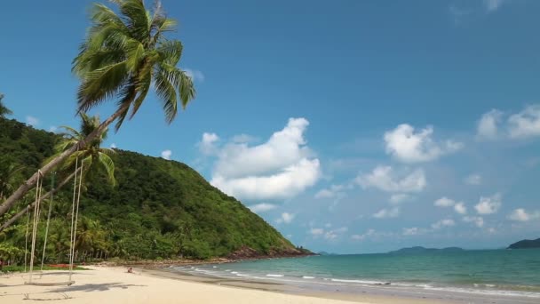 Palmeras en la playa — Vídeos de Stock