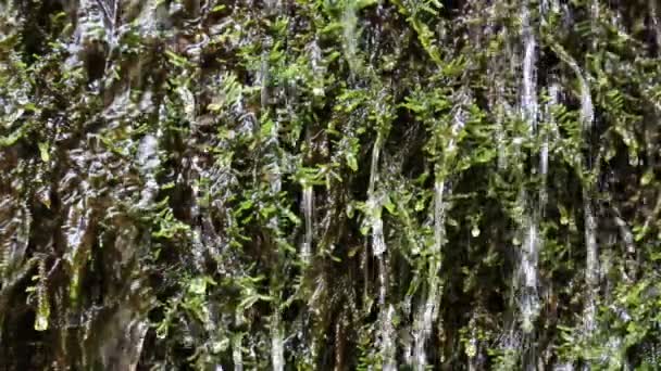 Agua de un pequeño arroyo — Vídeos de Stock