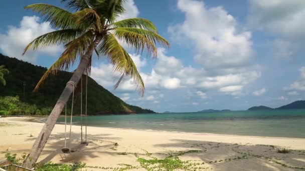 Mar, playa y palmera — Vídeo de stock