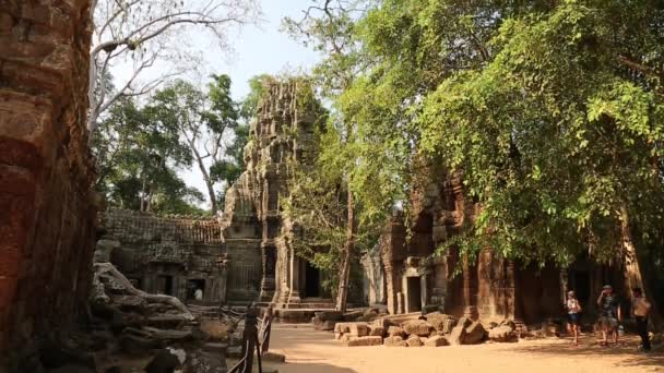 Angkor thom Tempelkomplex — Stockvideo