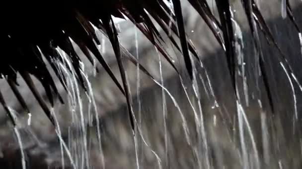 Des gouttes de pluie tombent du toit . — Video