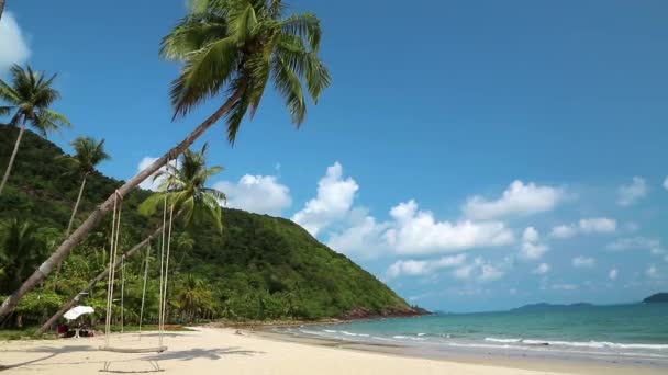 Palmas na praia — Vídeo de Stock