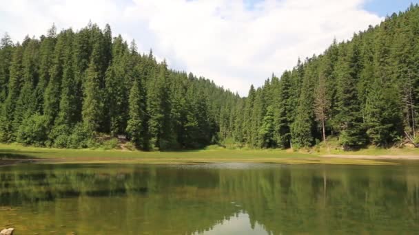 Lago Synevir nelle montagne dei Carpazi — Video Stock