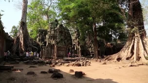 Complesso del tempio di Angkor Thom — Video Stock
