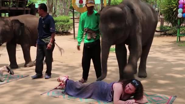 Personas en la feria de elefantes en Tailandia — Vídeo de stock