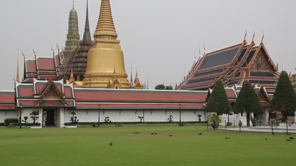 Temple of the Emerald Buddha — Stock Video