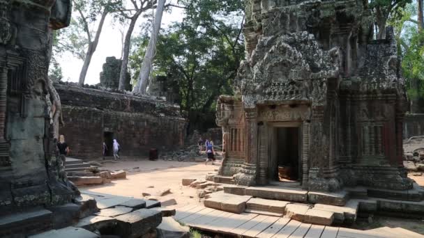 Храм Ангкор-том — стоковое видео