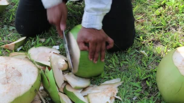 Mann schält eine große grüne Kokosnuss — Stockvideo