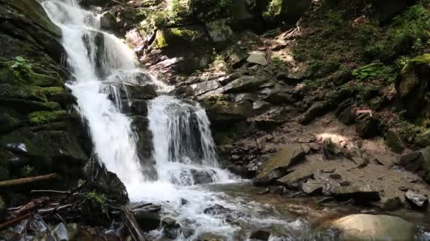 Prachtige waterval in de Karpaten — Stockvideo