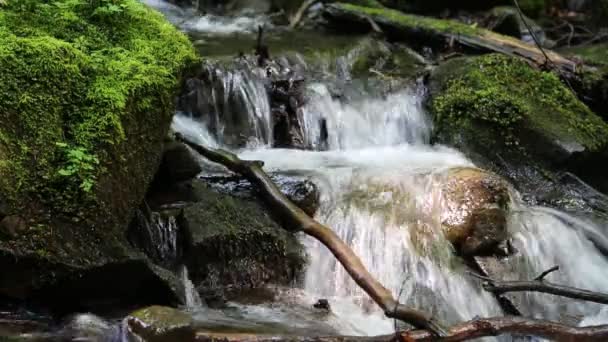 Krásný malý potok — Stock video