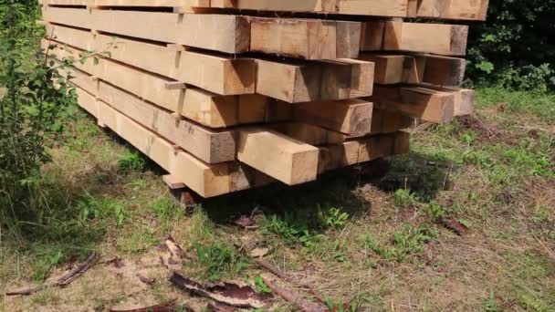 Wooden squared timbers — Stock Video