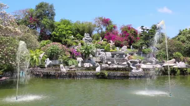 Milhões de anos parque de pedra — Vídeo de Stock