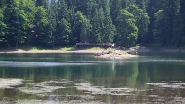 Karpat Dağlarındaki Synevir Gölü