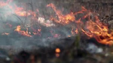 Kuru ot çayır üzerinde yanan